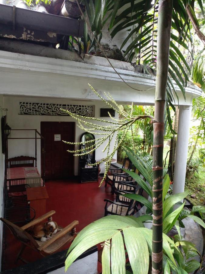 Traditional Kandyan House ภายนอก รูปภาพ
