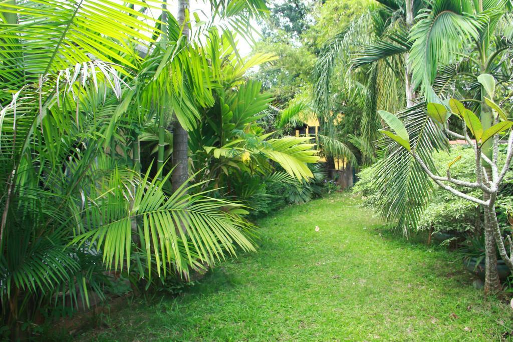 Traditional Kandyan House ภายนอก รูปภาพ